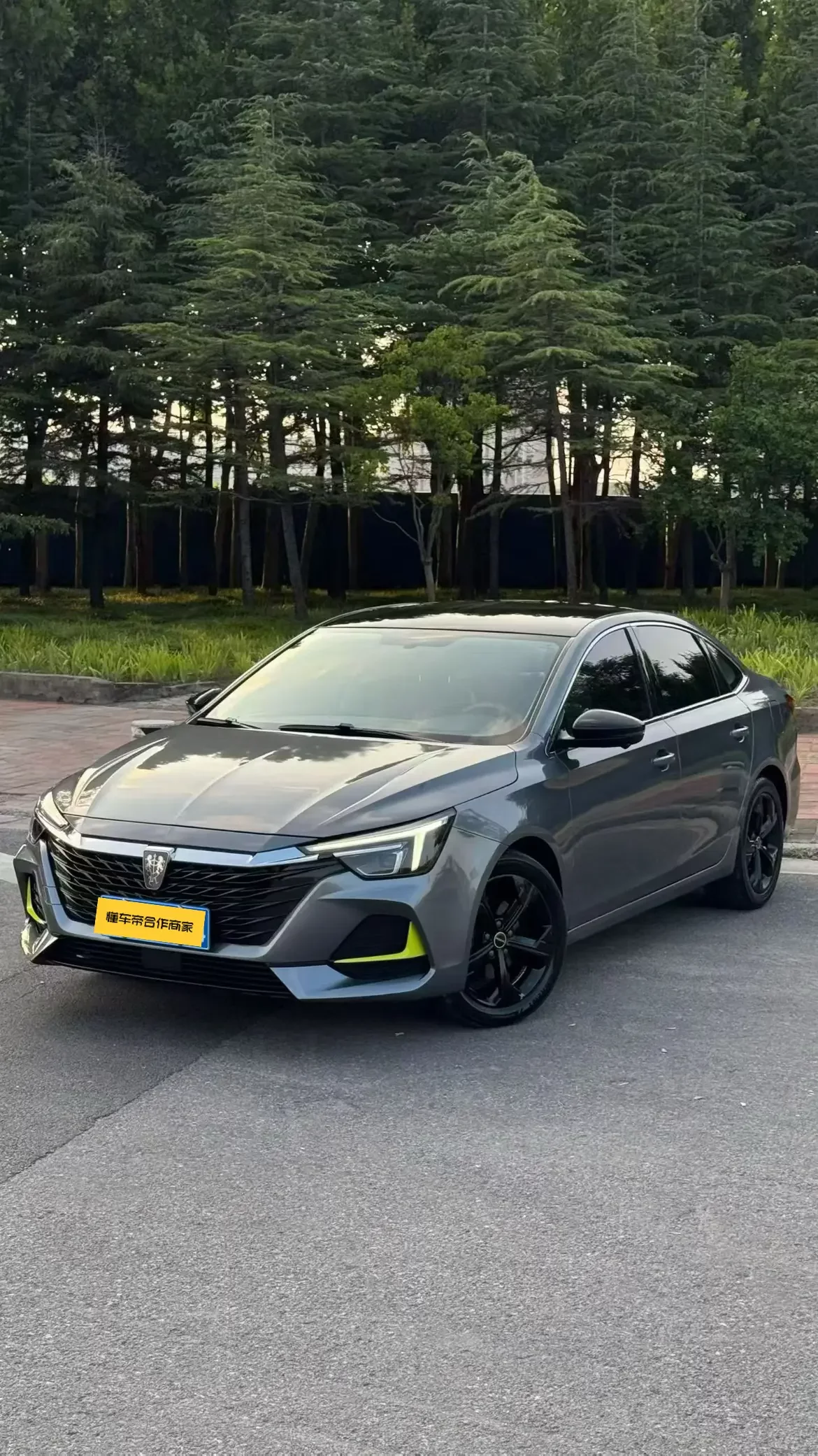 Roewe i6 MAX  из Китая