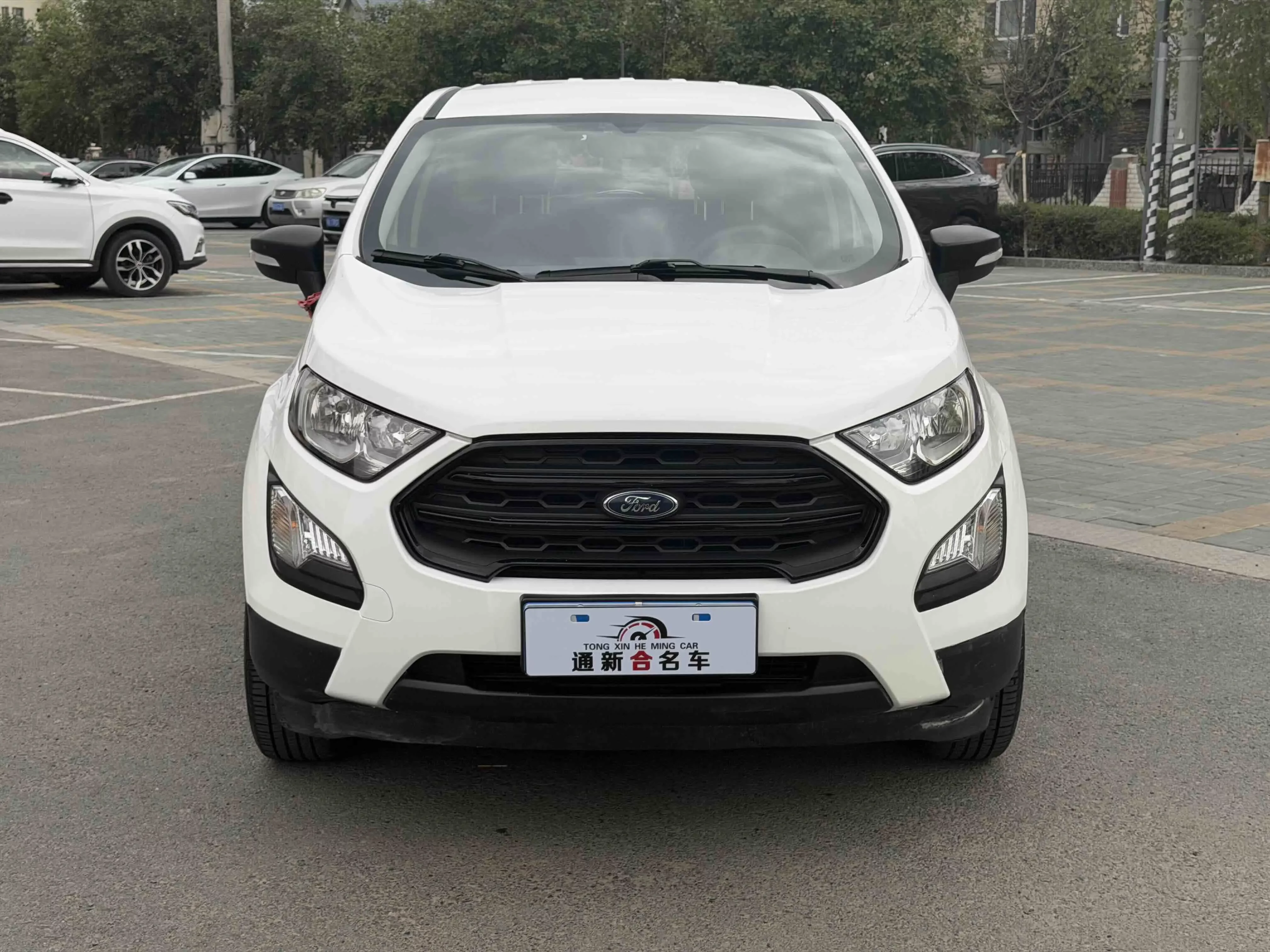 Ford Yibo