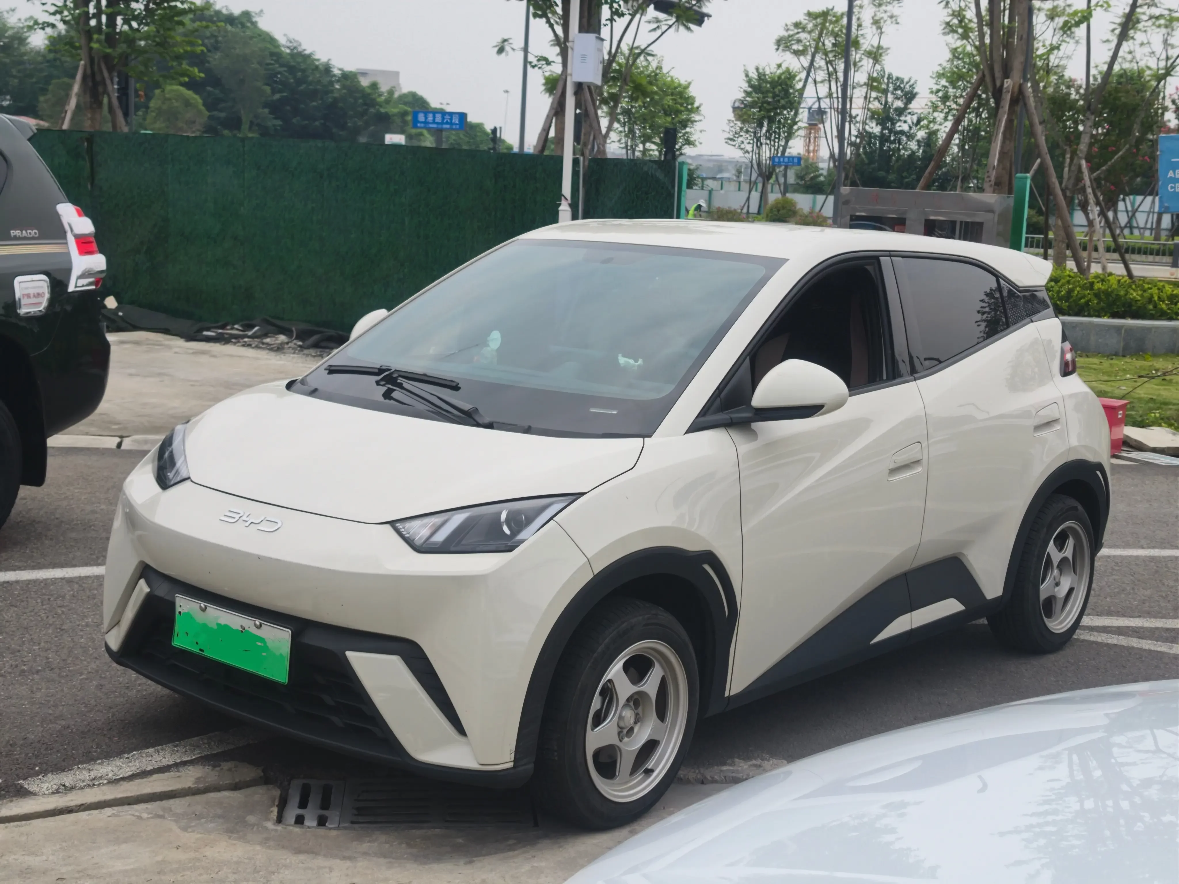 BYD seagull
