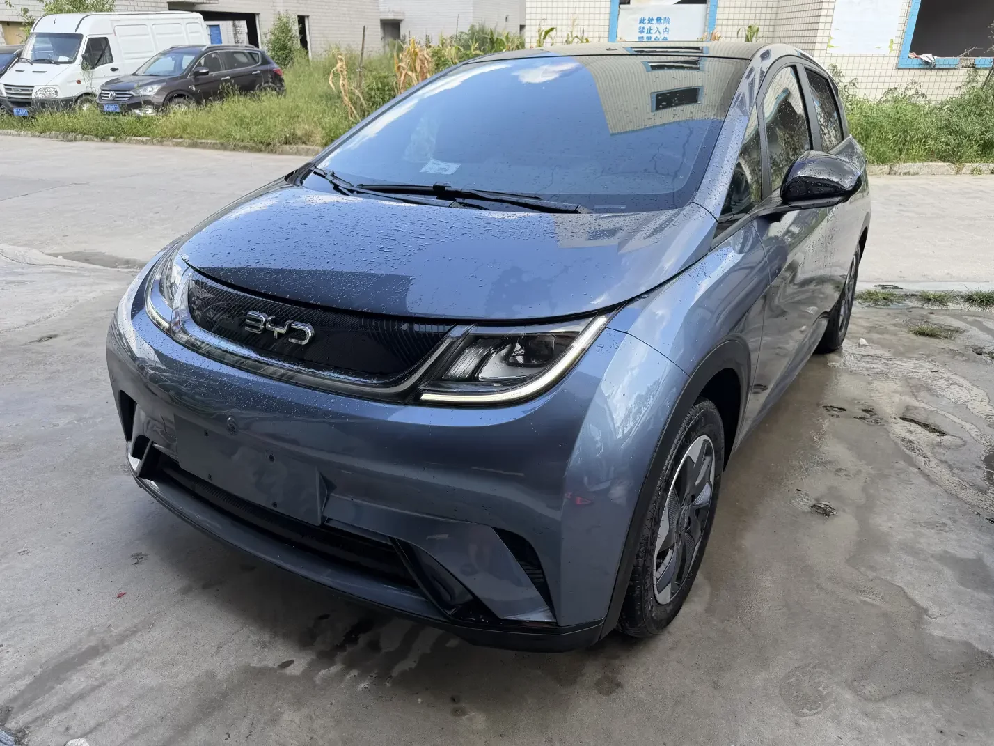 BYD dolphin