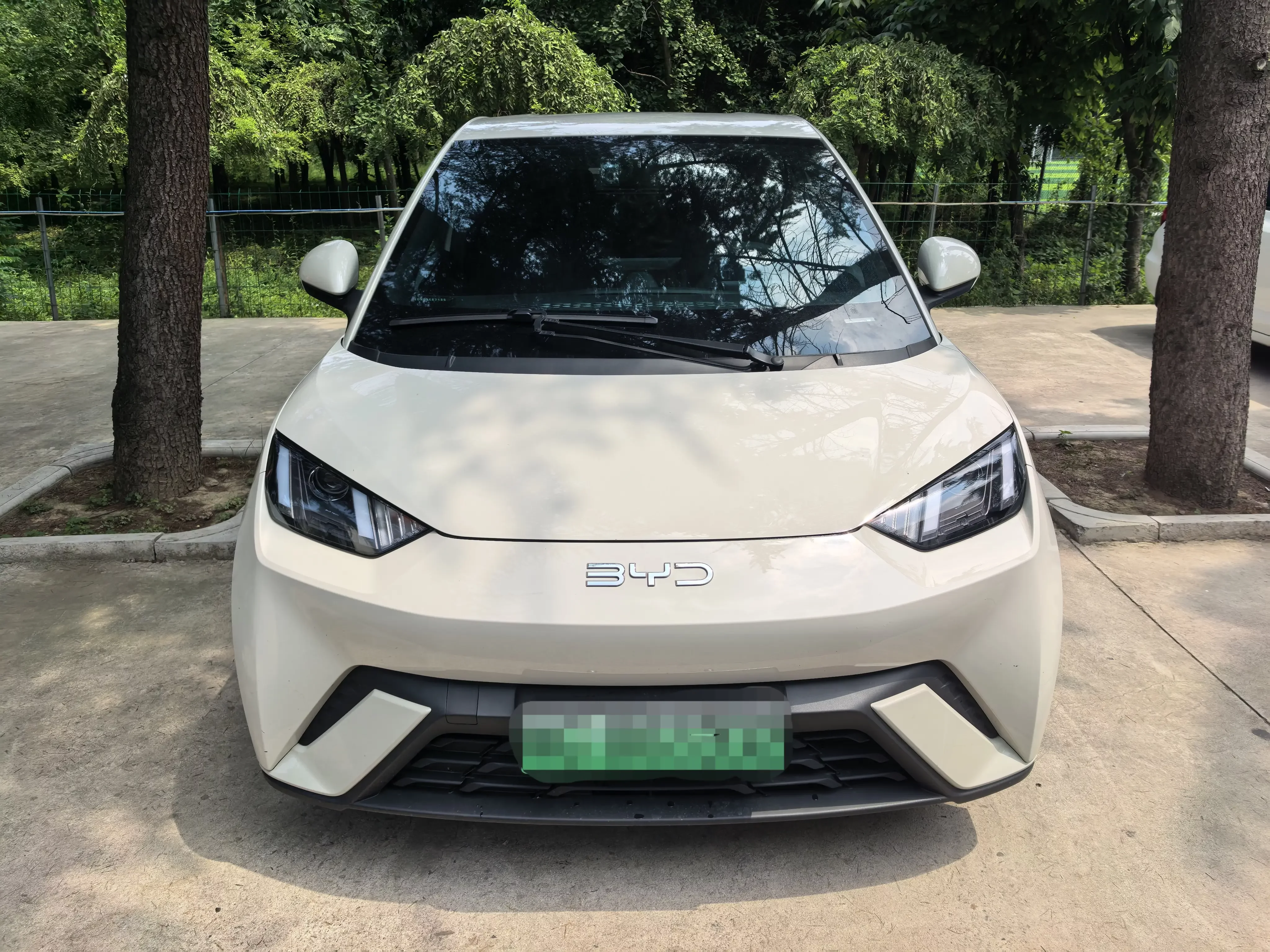 BYD seagull