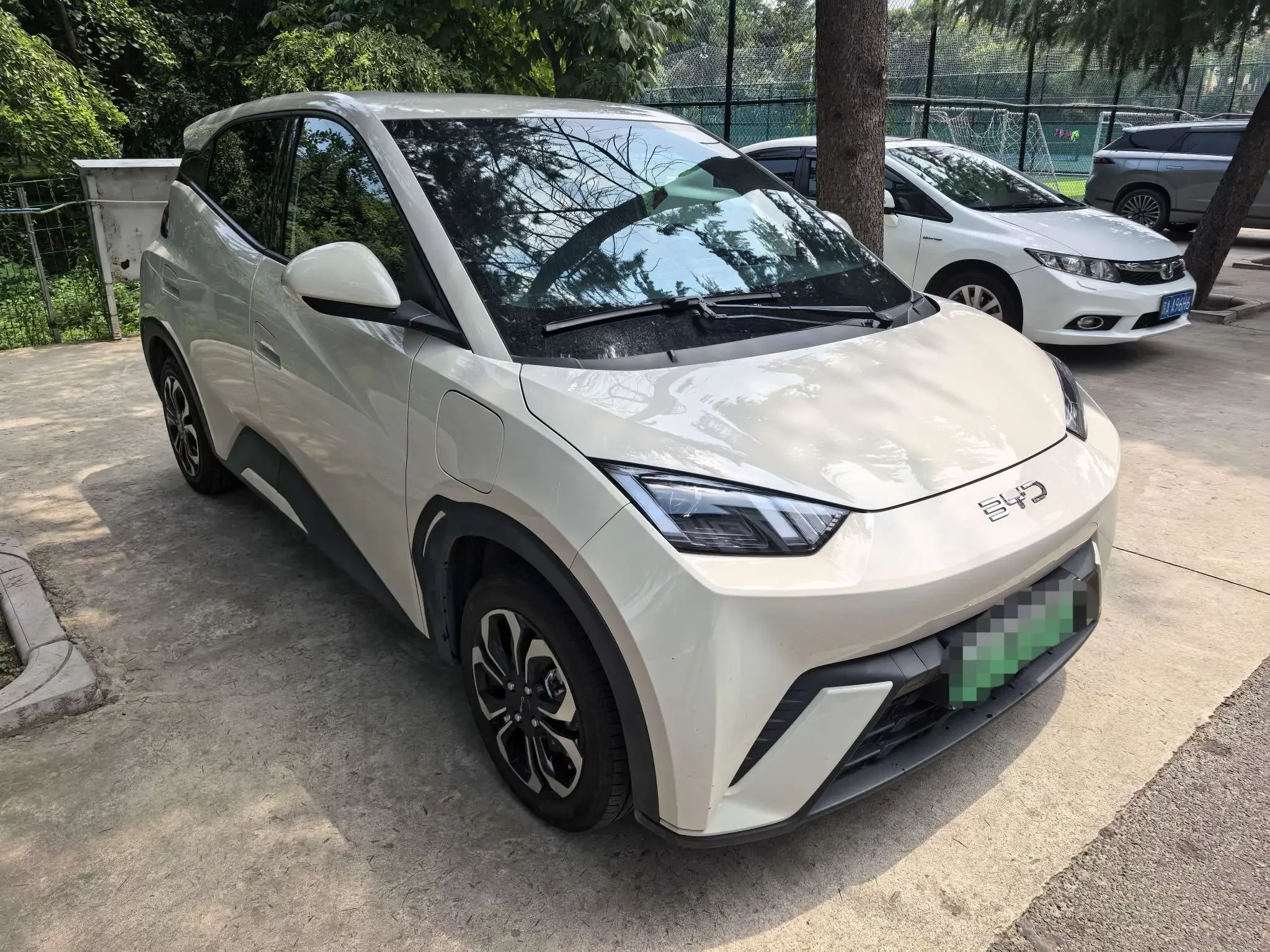 BYD seagull