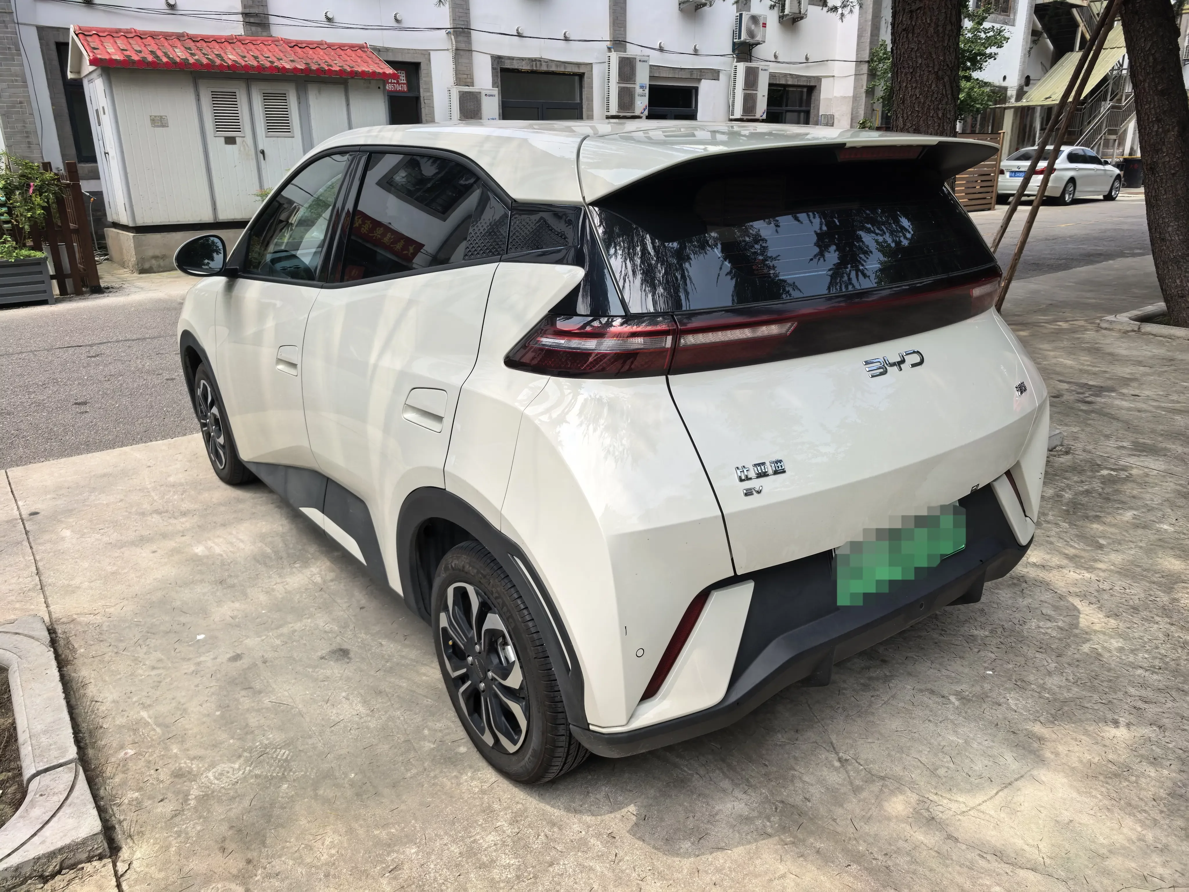 BYD seagull