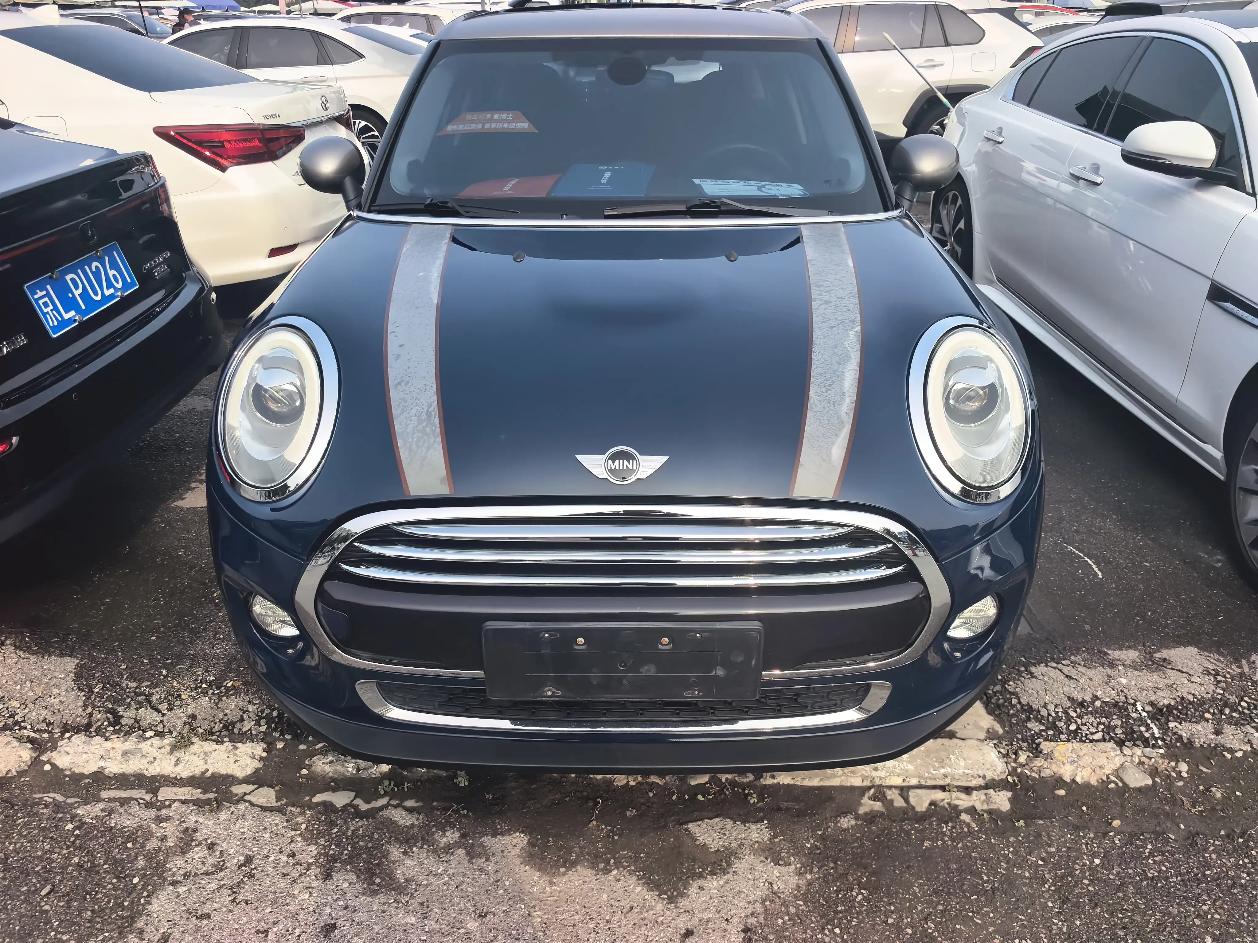 MINI MINI