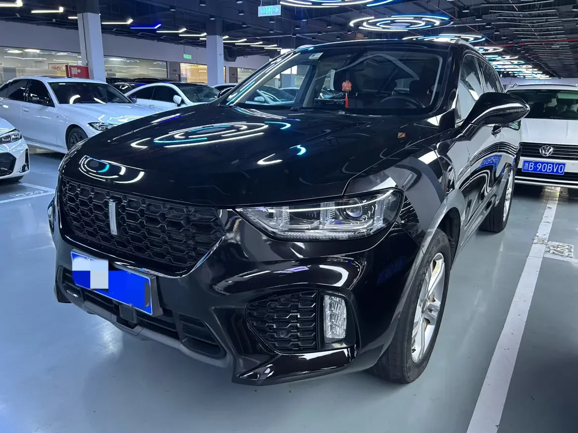 Wey Wei brand VV5  из Китая