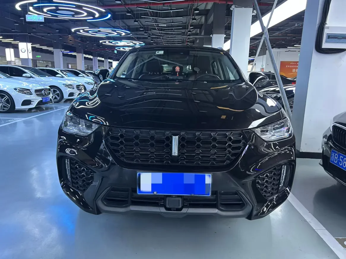 Wey Wei brand VV5  из Китая