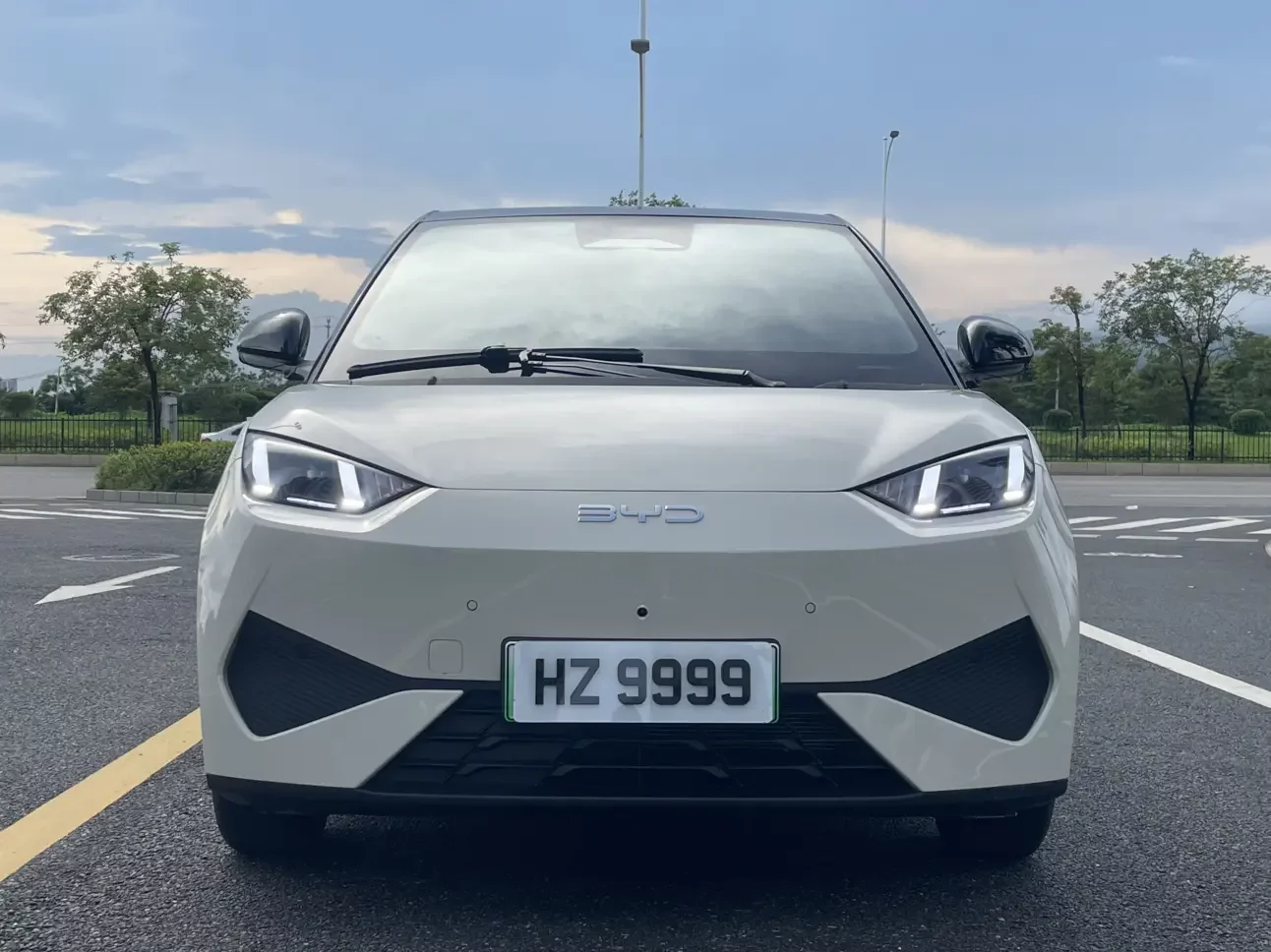BYD seagull