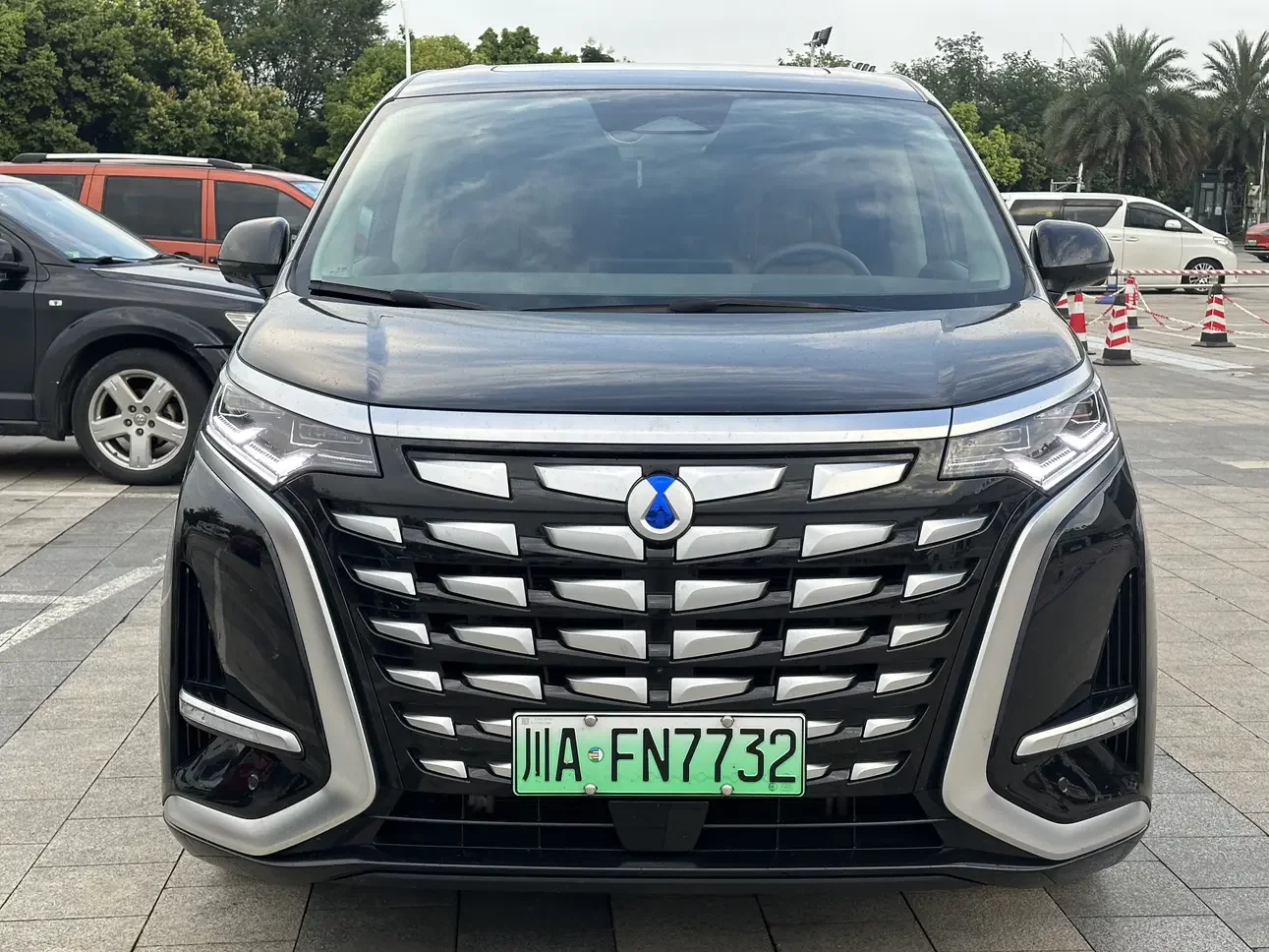Denza D9 DM