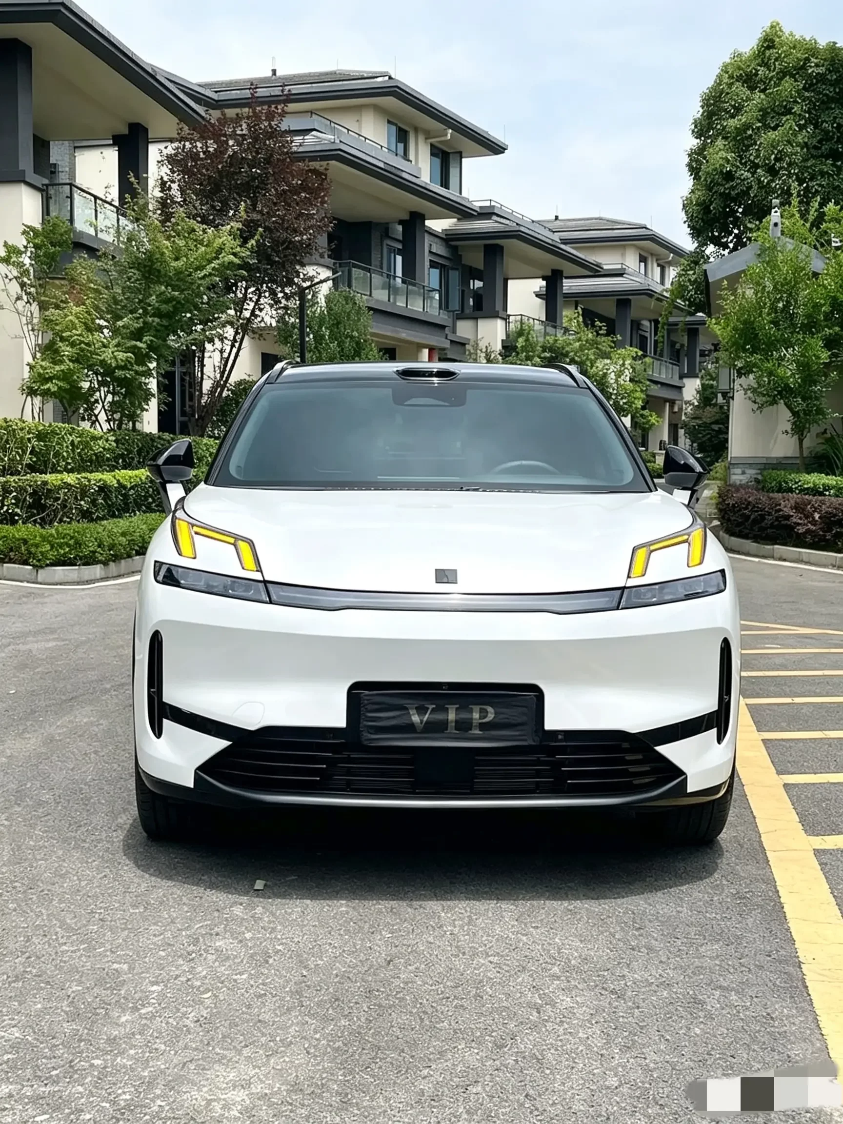 Lynk & Co 08 EM-P