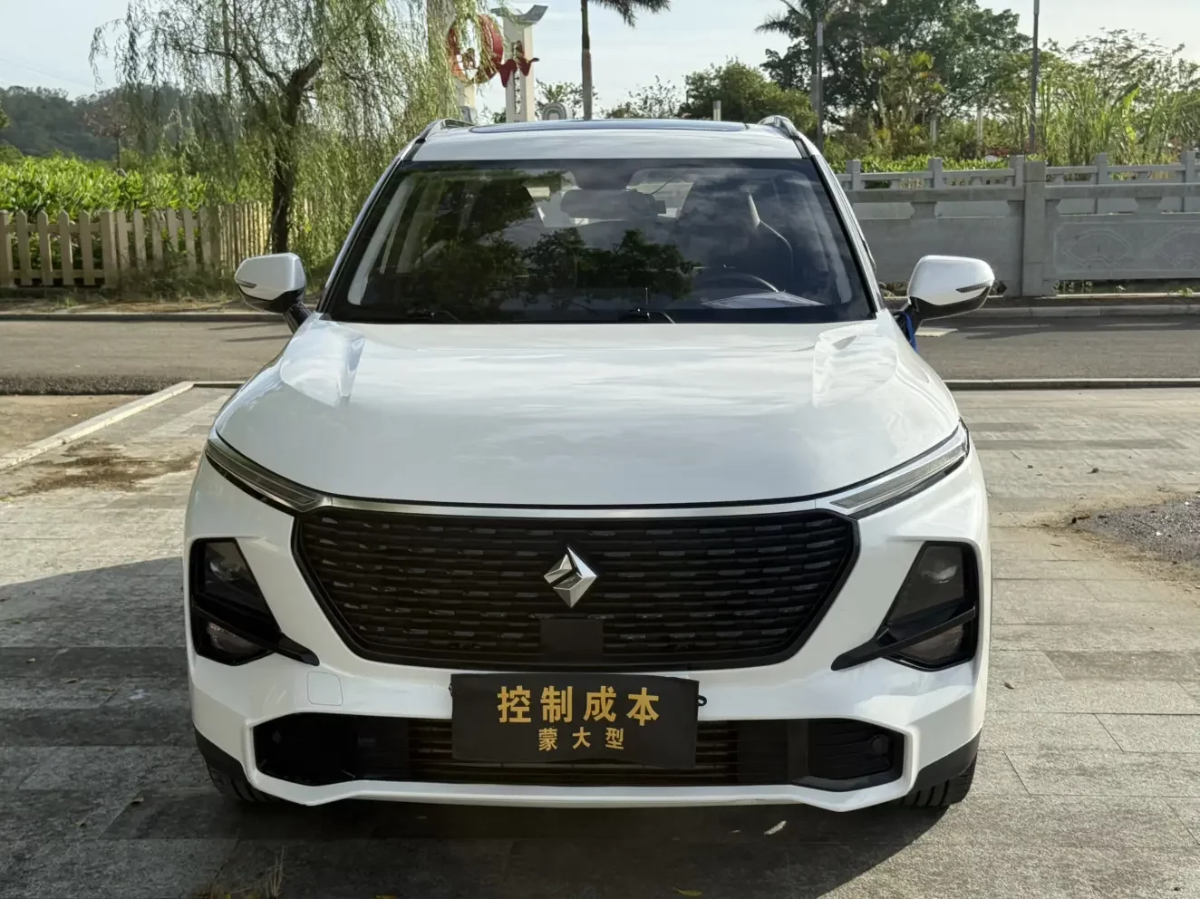 Baojun RS-3  из Китая