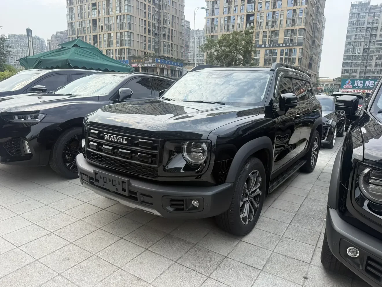 Haval Dargo