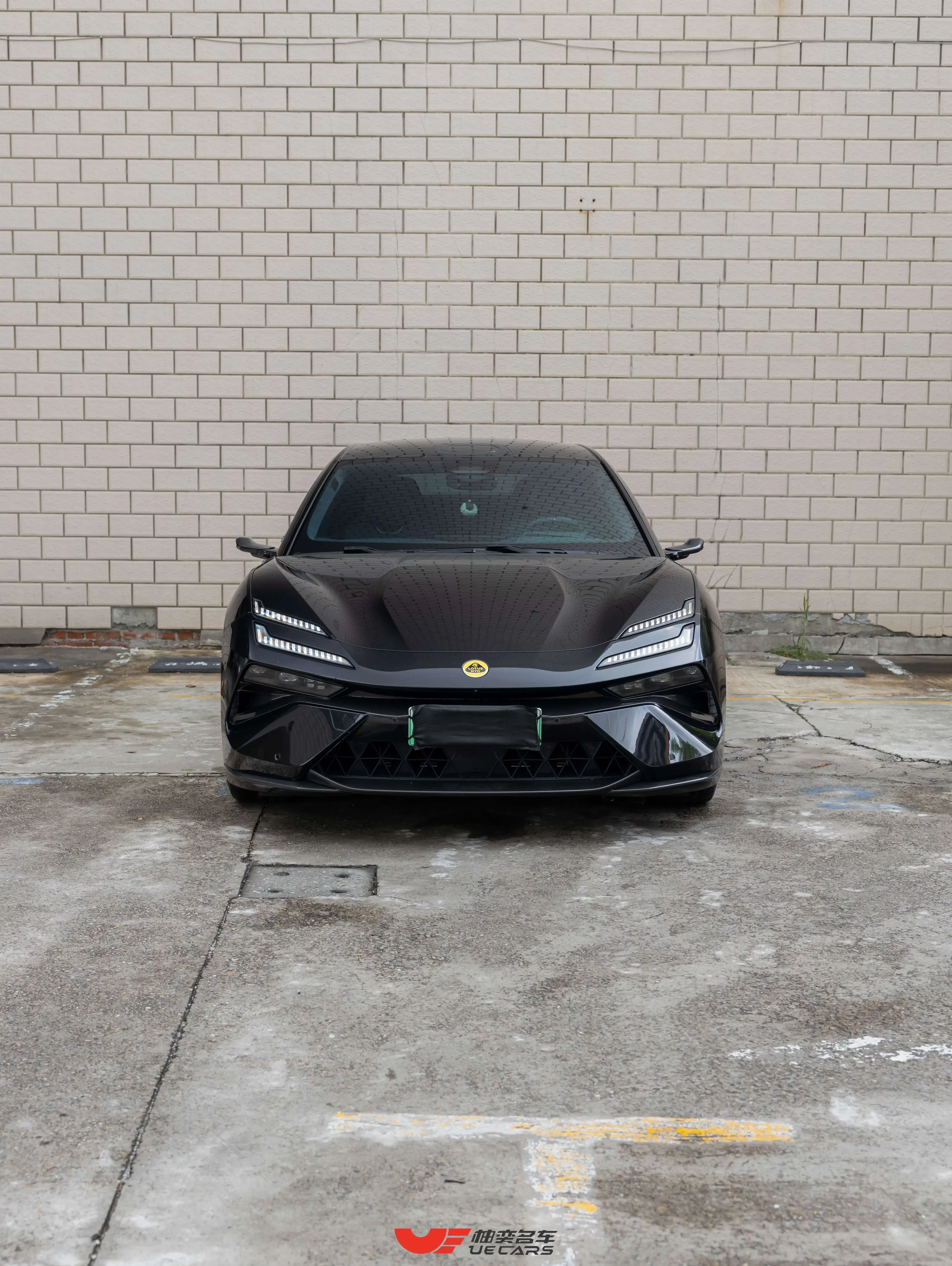 Lotus Emeya  из Китая