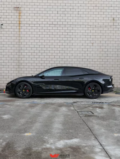 Lotus Emeya