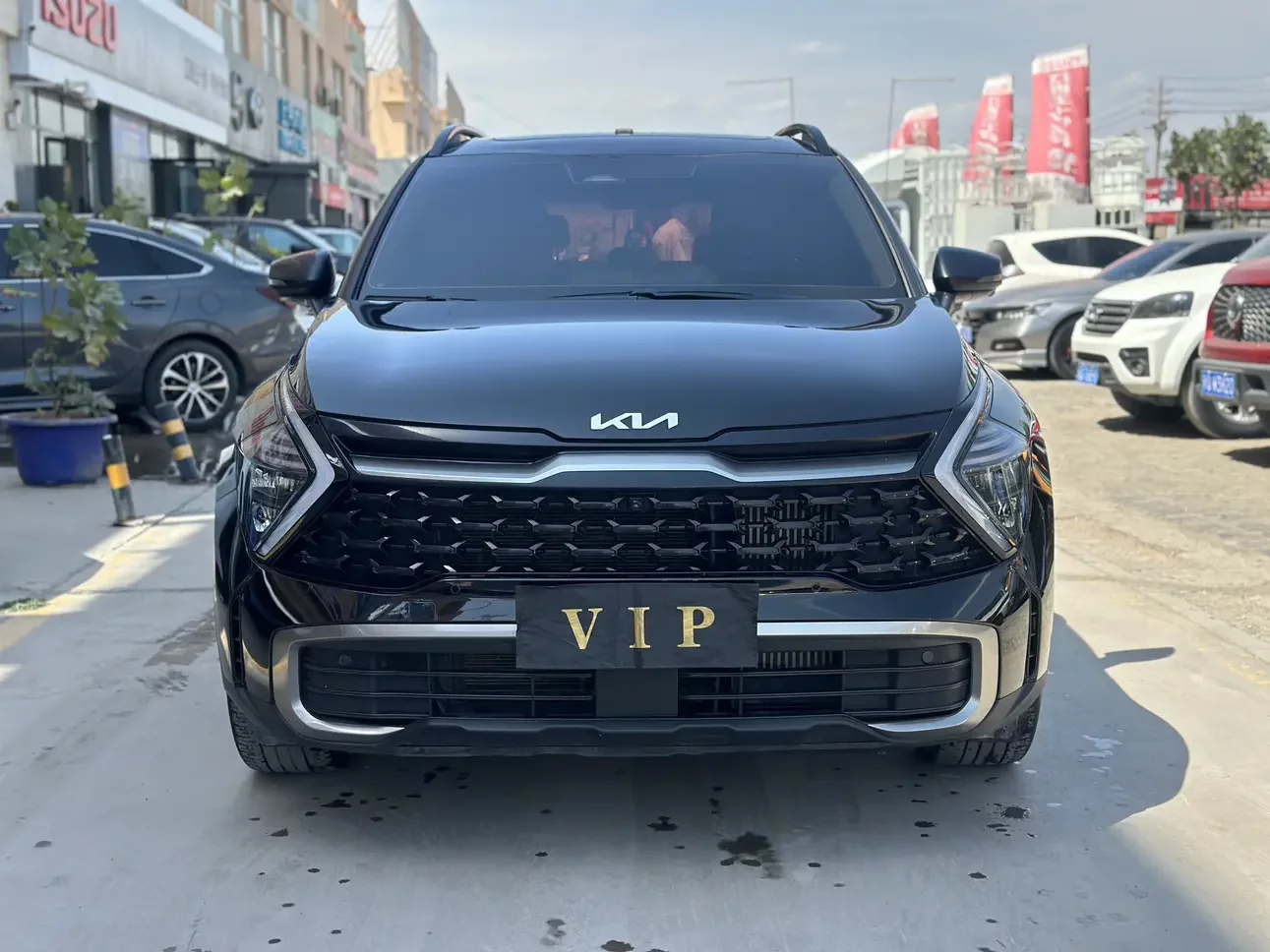 Kia Lion Platinum Expands the Boundary  из Китая