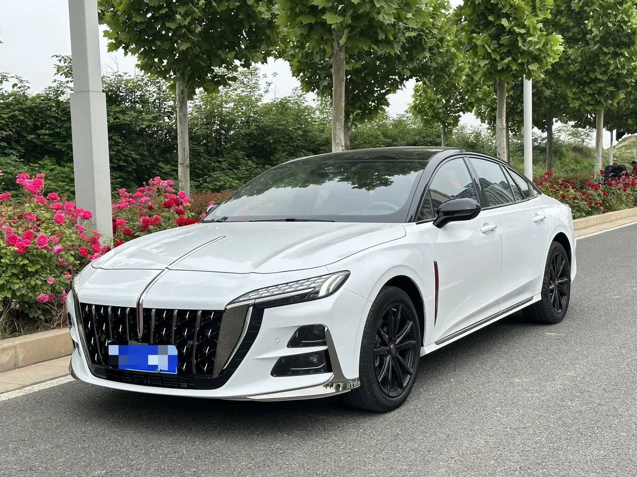 Hongqi H6