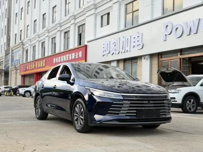 BYD Destroyer 05