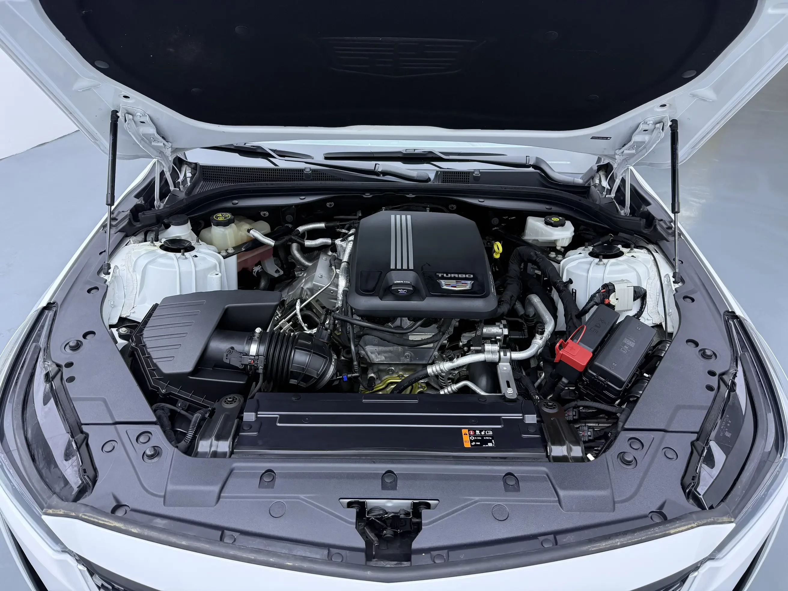 catalog-car-10