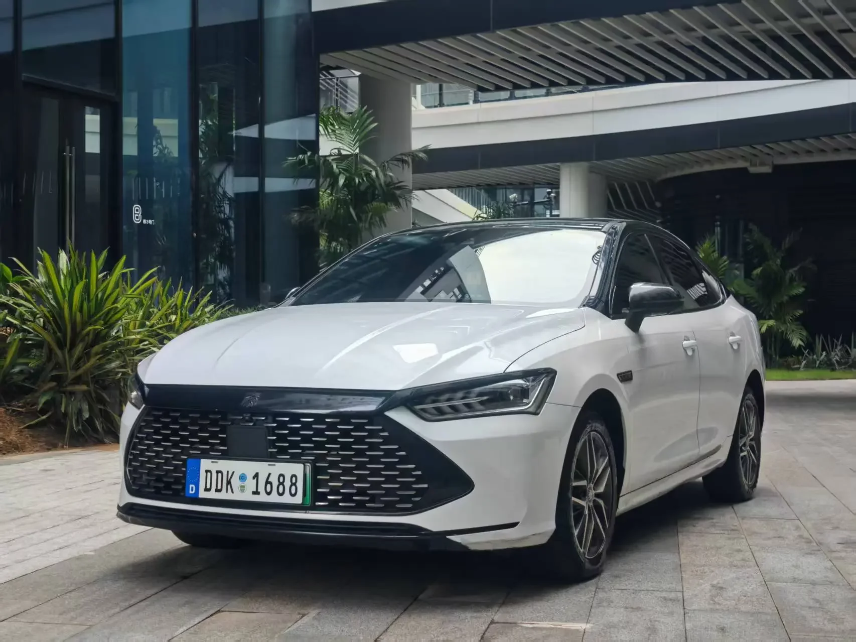 BYD Qin PLUS DM