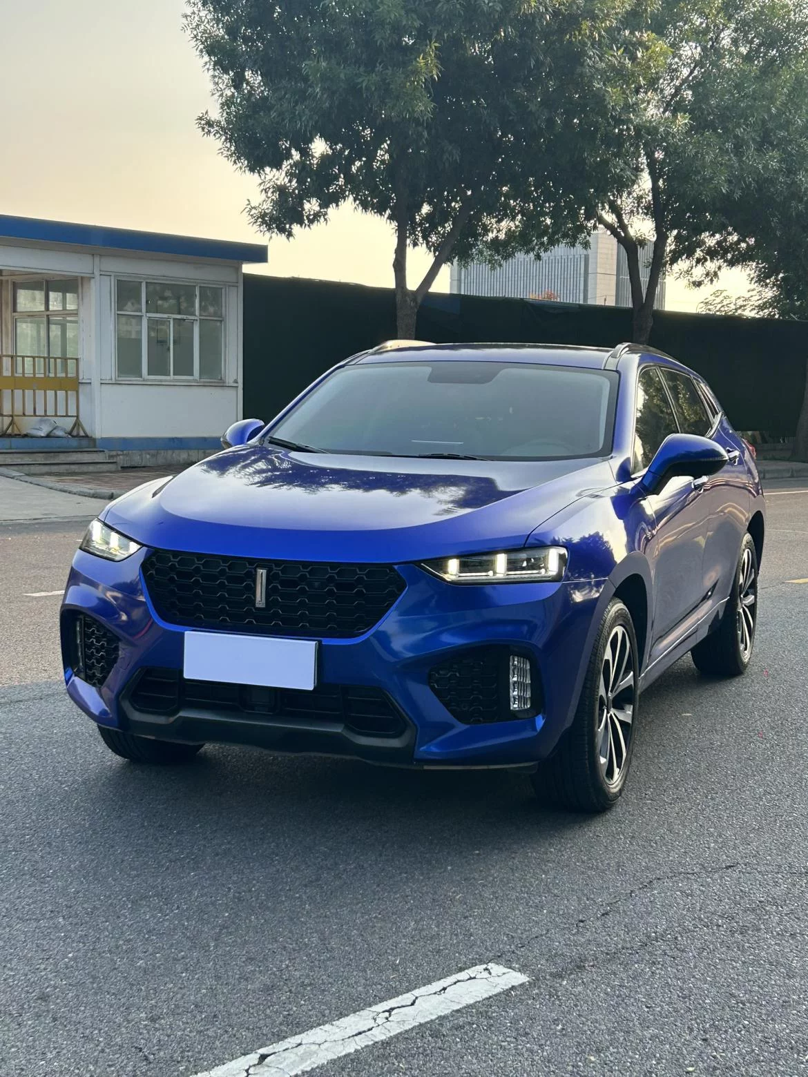 Wey Wei brand VV7  из Китая