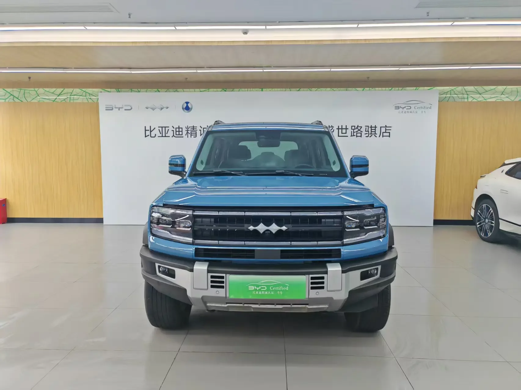BYD Leopard Leopard 5  из Китая