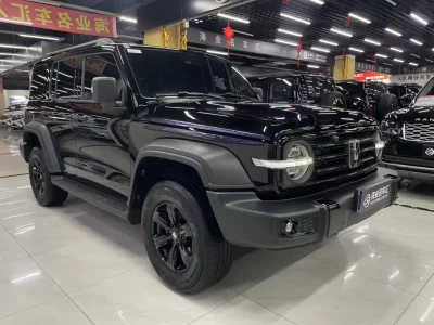 TANK 300