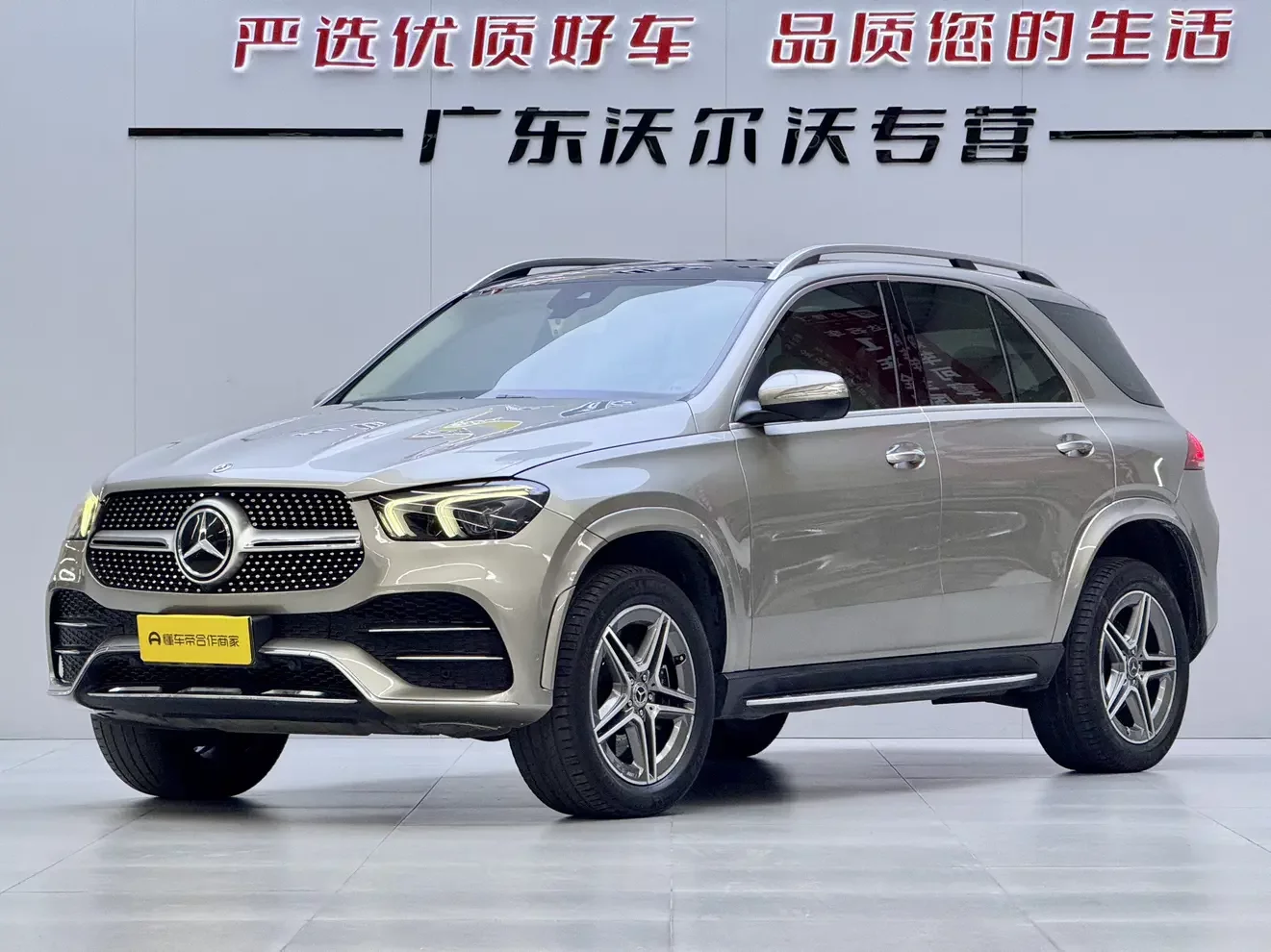 Mercedes-Benz GLE (Imported)