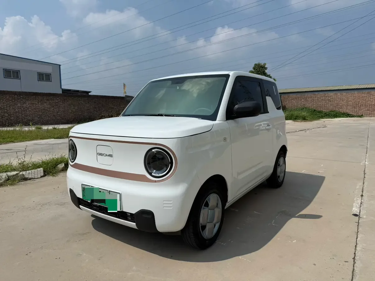 Geely panda