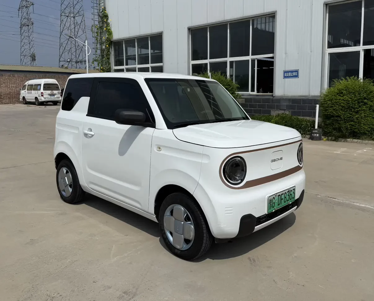 Geely panda