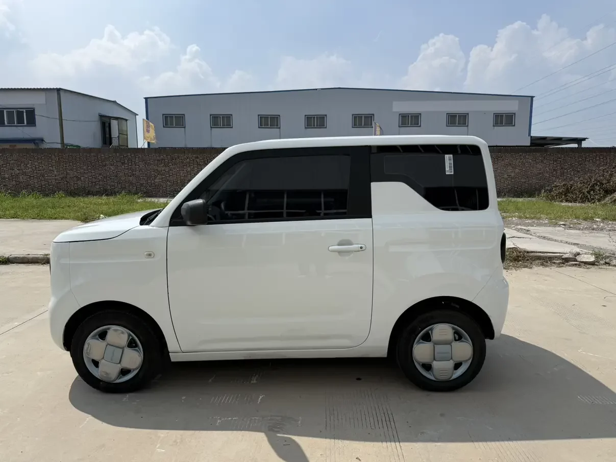 Geely panda