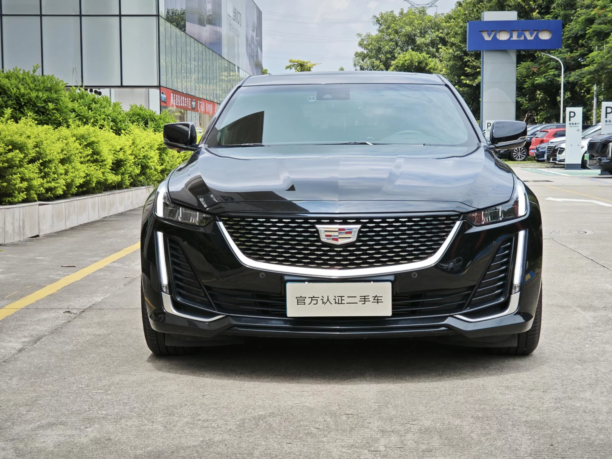 catalog-car-2