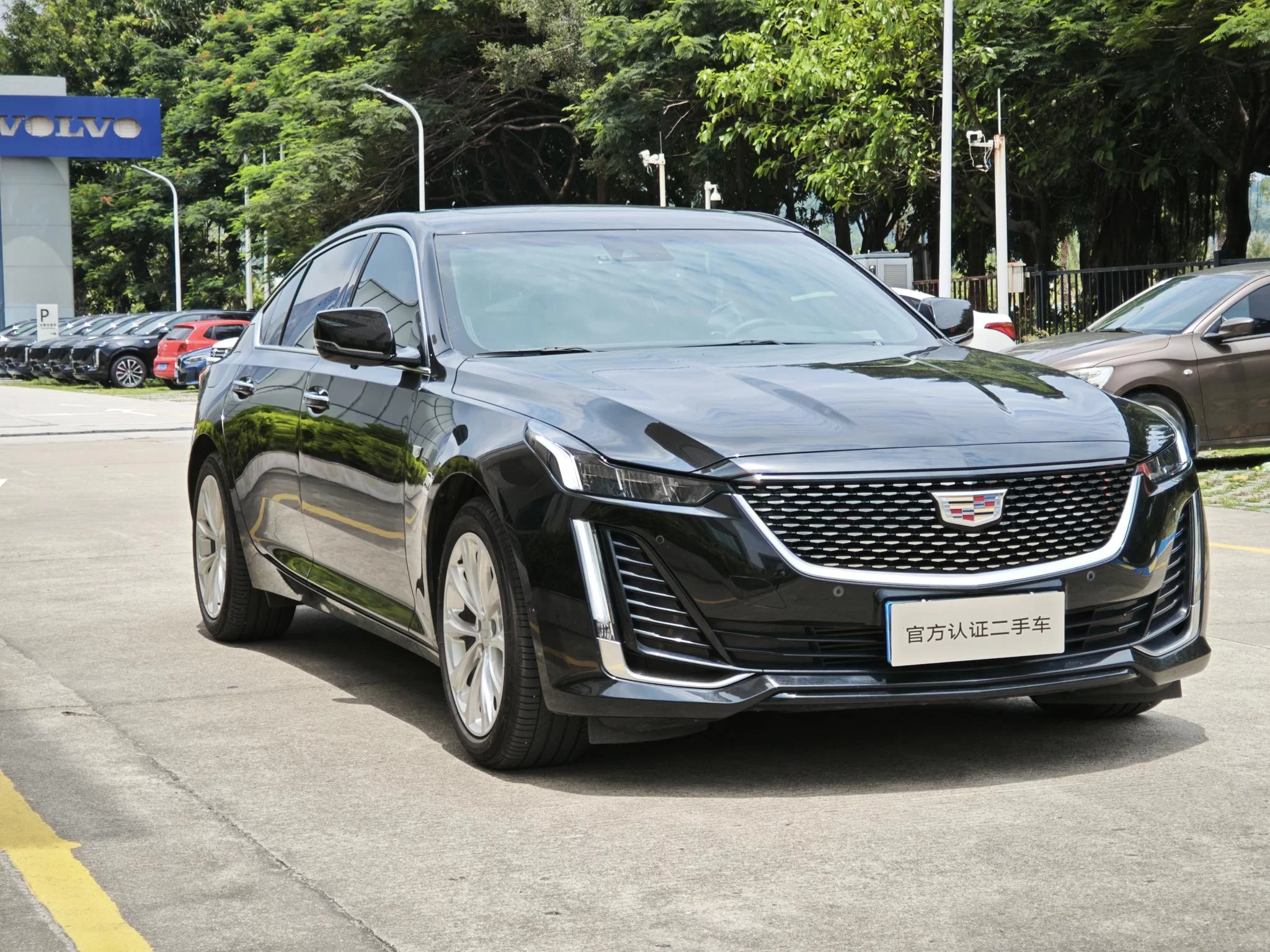 catalog-car-6