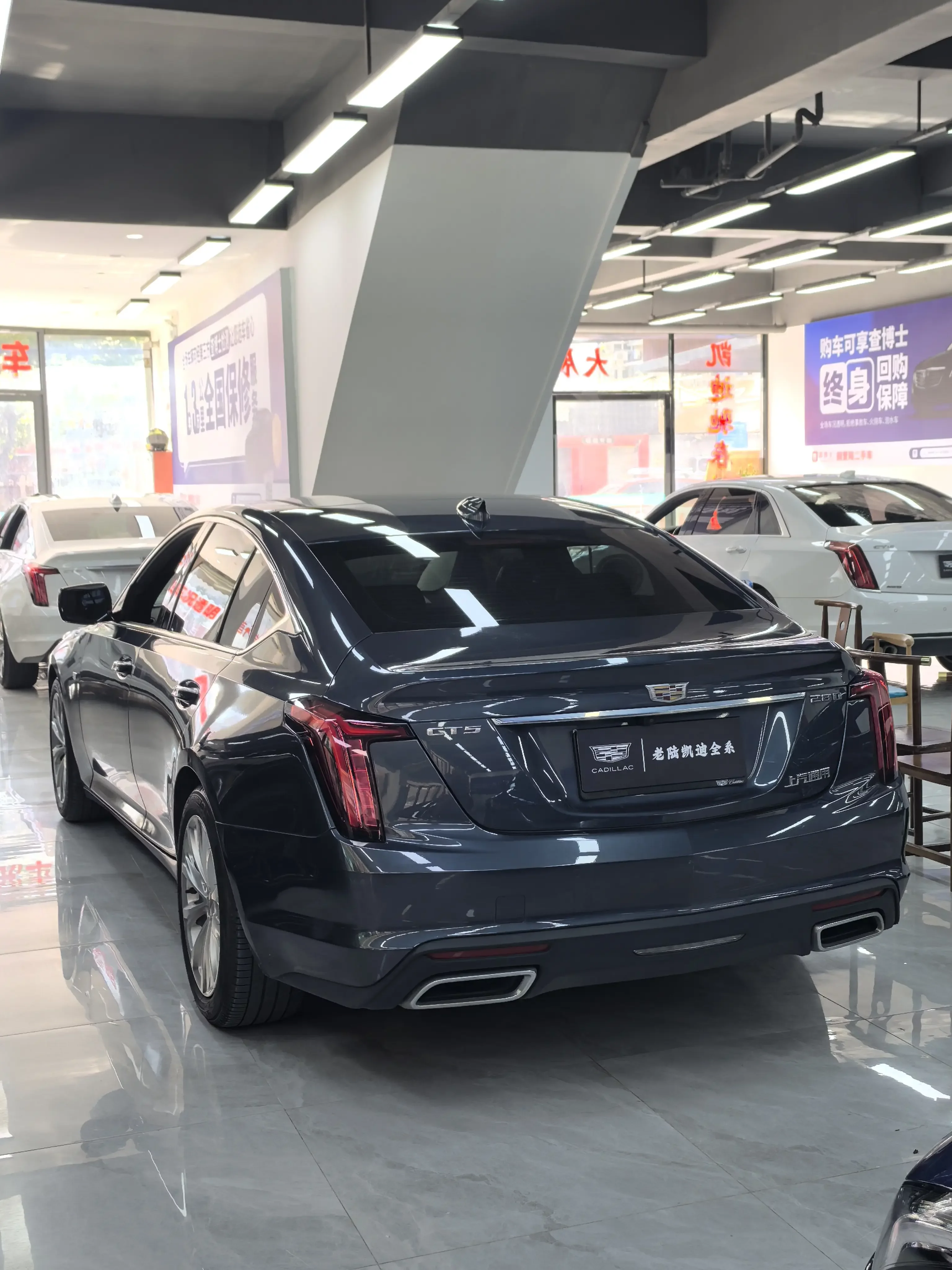 catalog-car-4