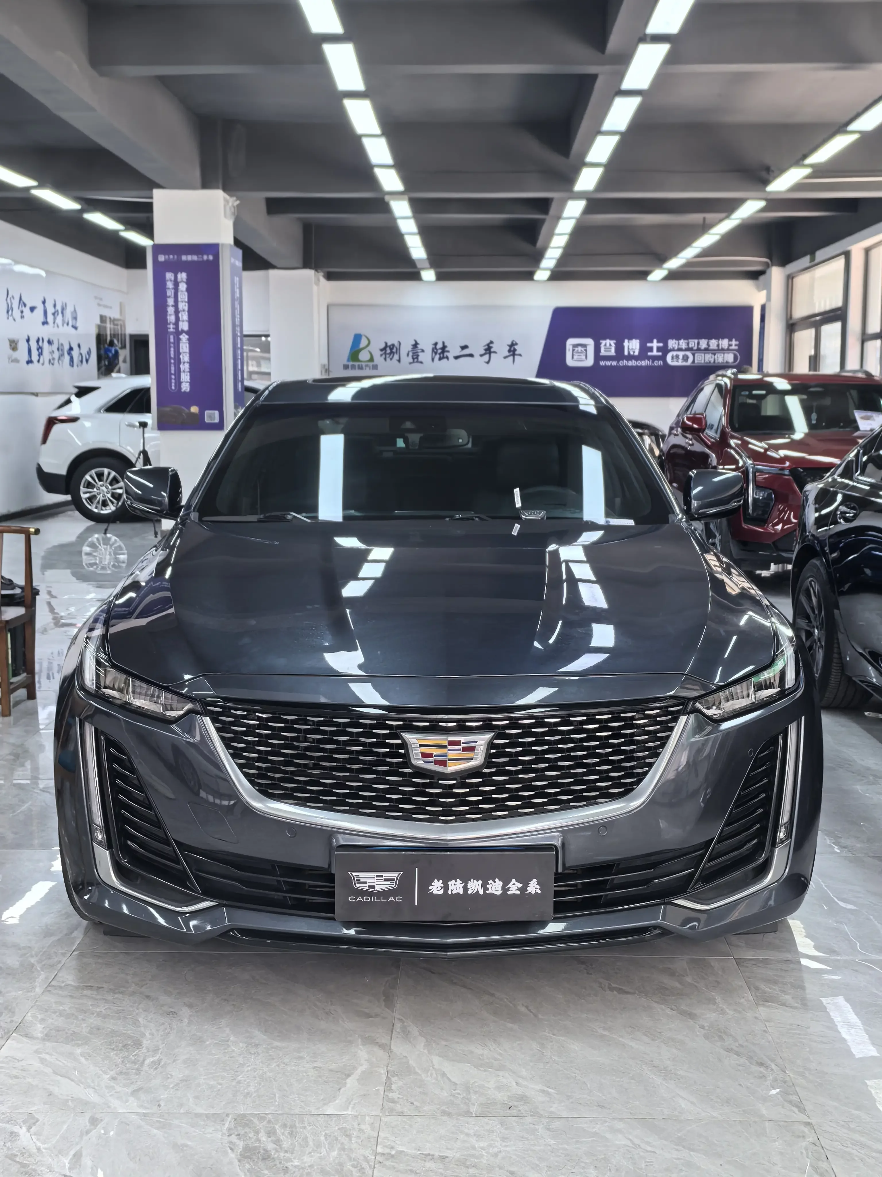 catalog-car-8