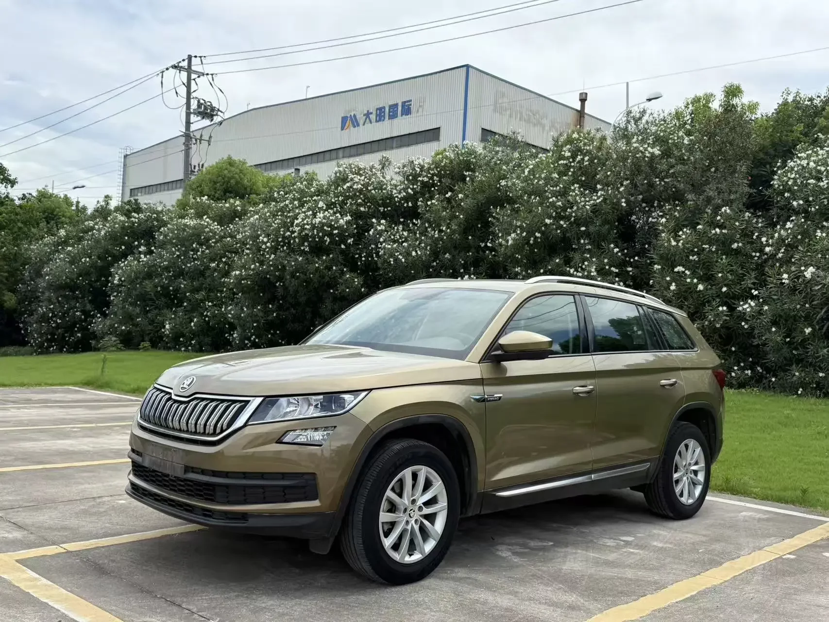 Skoda Kodiaq  из Китая