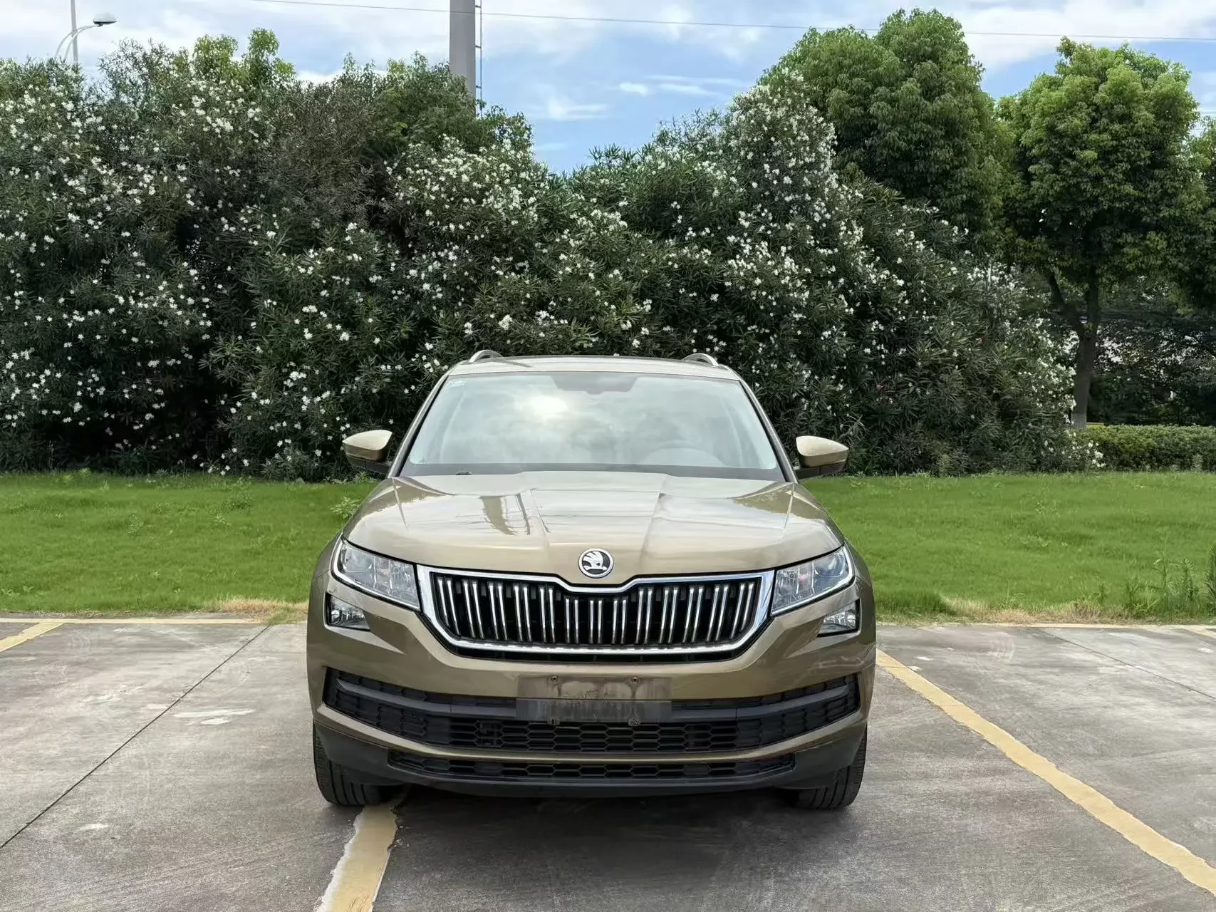 Skoda Kodiaq  из Китая