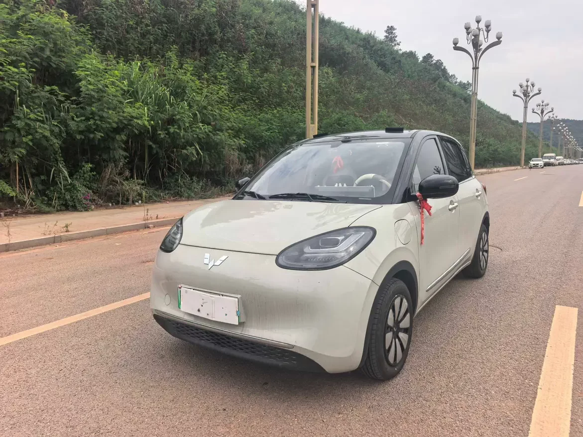 Wuling Bingo