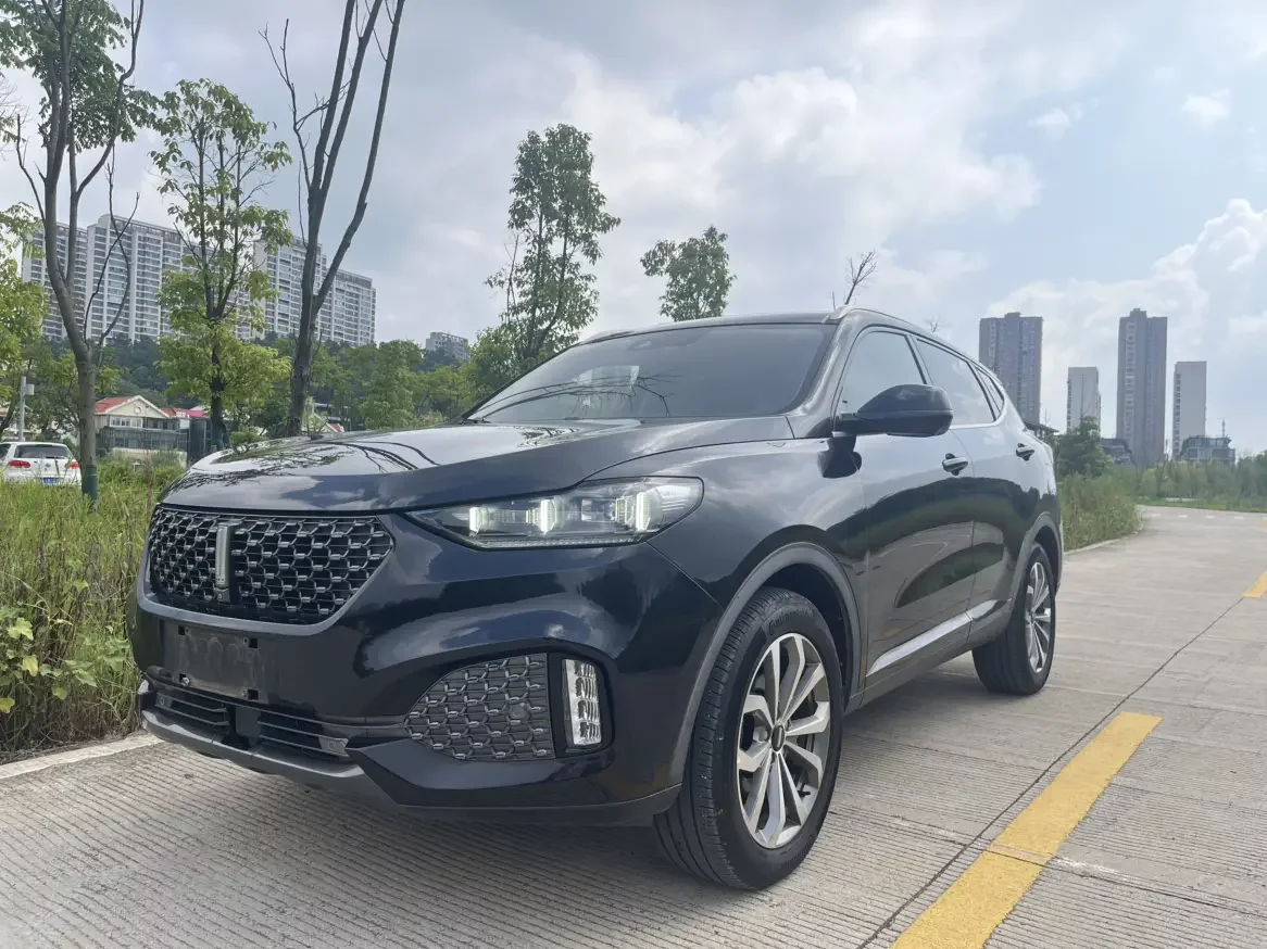 Wey Wei brand VV6  из Китая
