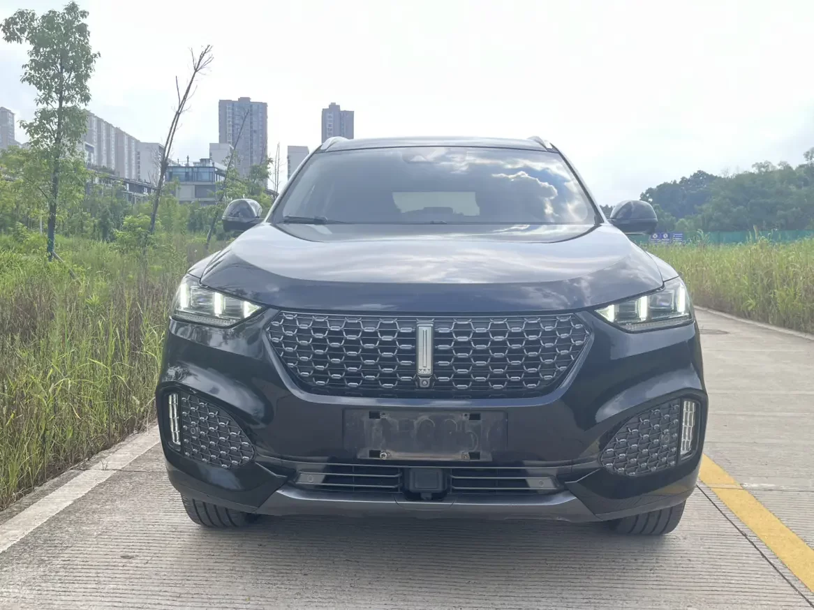 Wey Wei brand VV6  из Китая