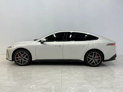 Dongfeng Yipai 007