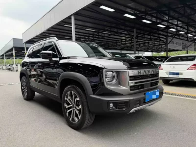 Haval Big Dog DaGou