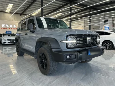 TANK 300