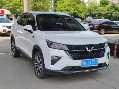 Wuling Star