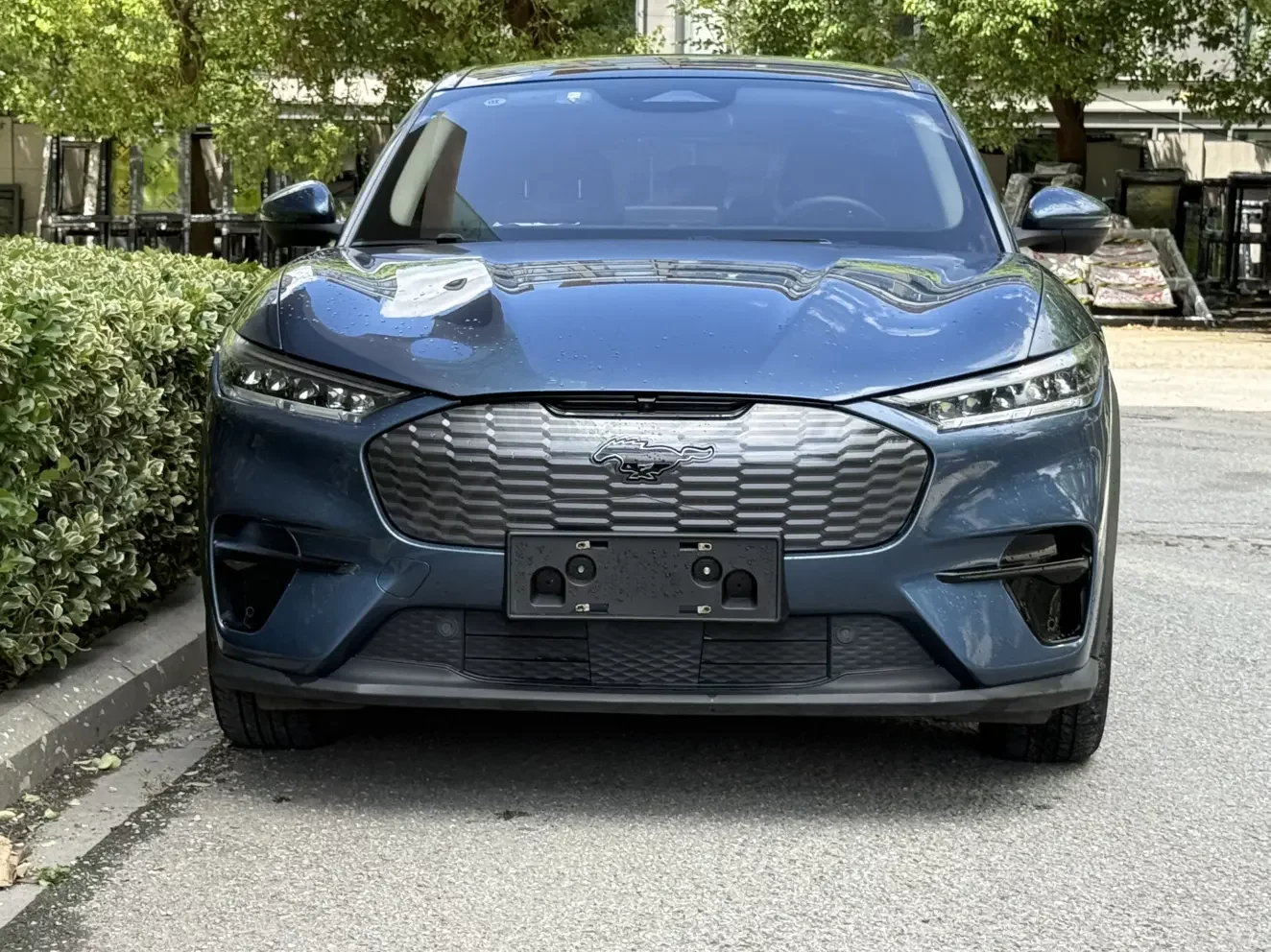 Ford electric horse  из Китая