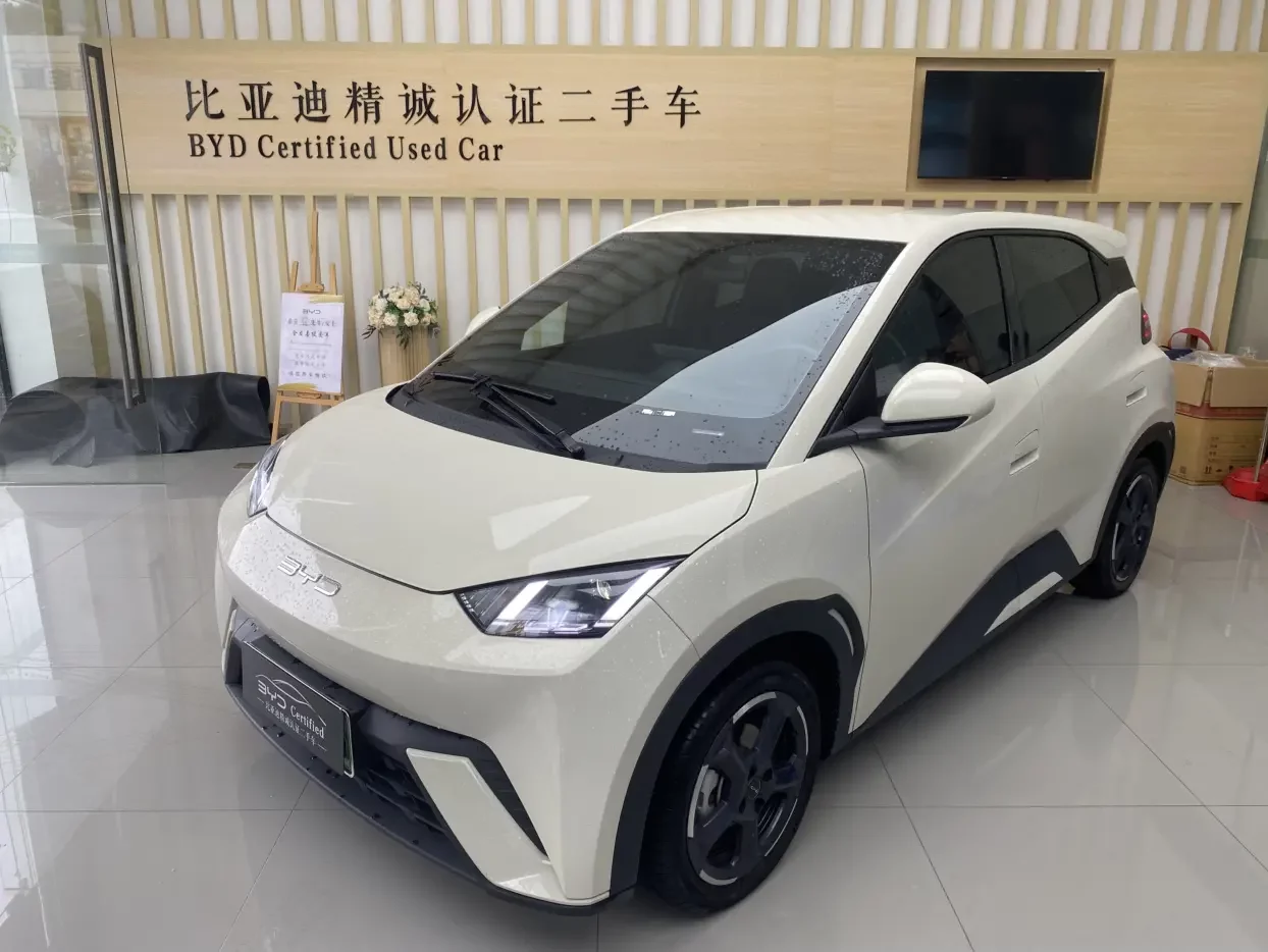 BYD seagull