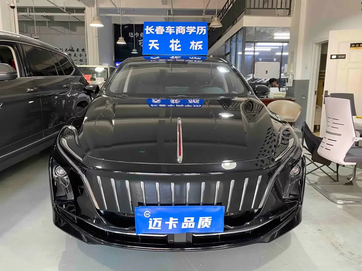 Hongqi E-QM5