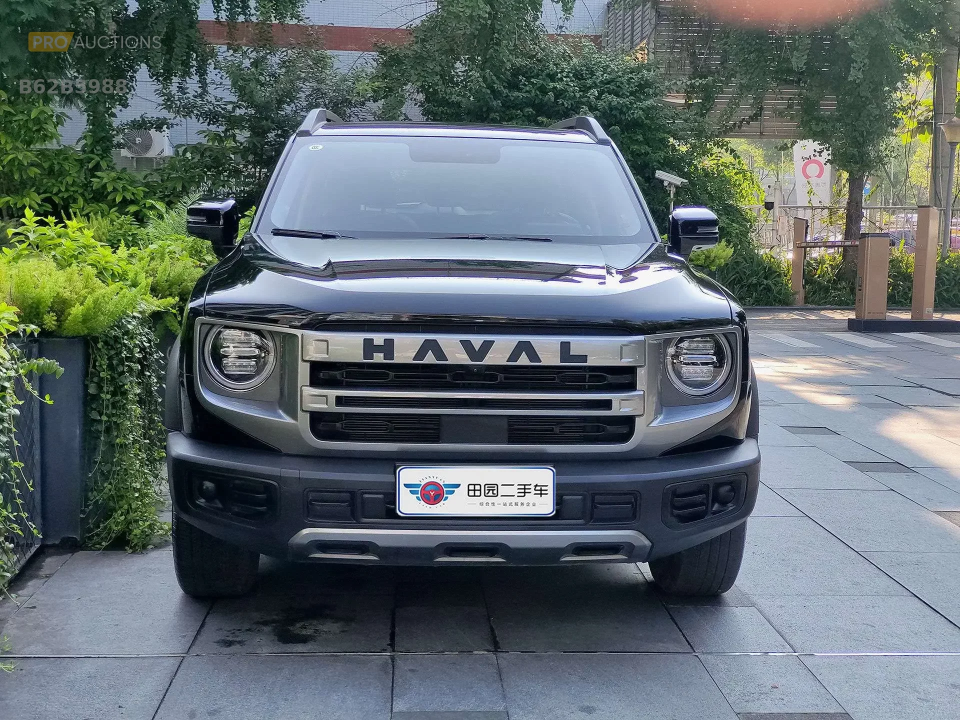 Haval Dargo
