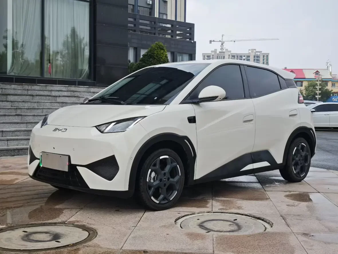 BYD seagull
