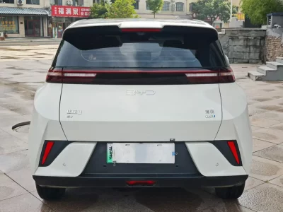 BYD Seagull