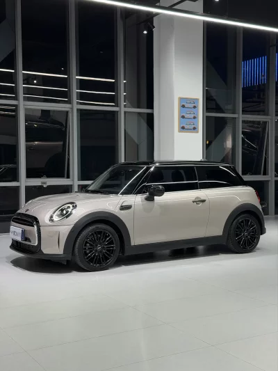 MINI 