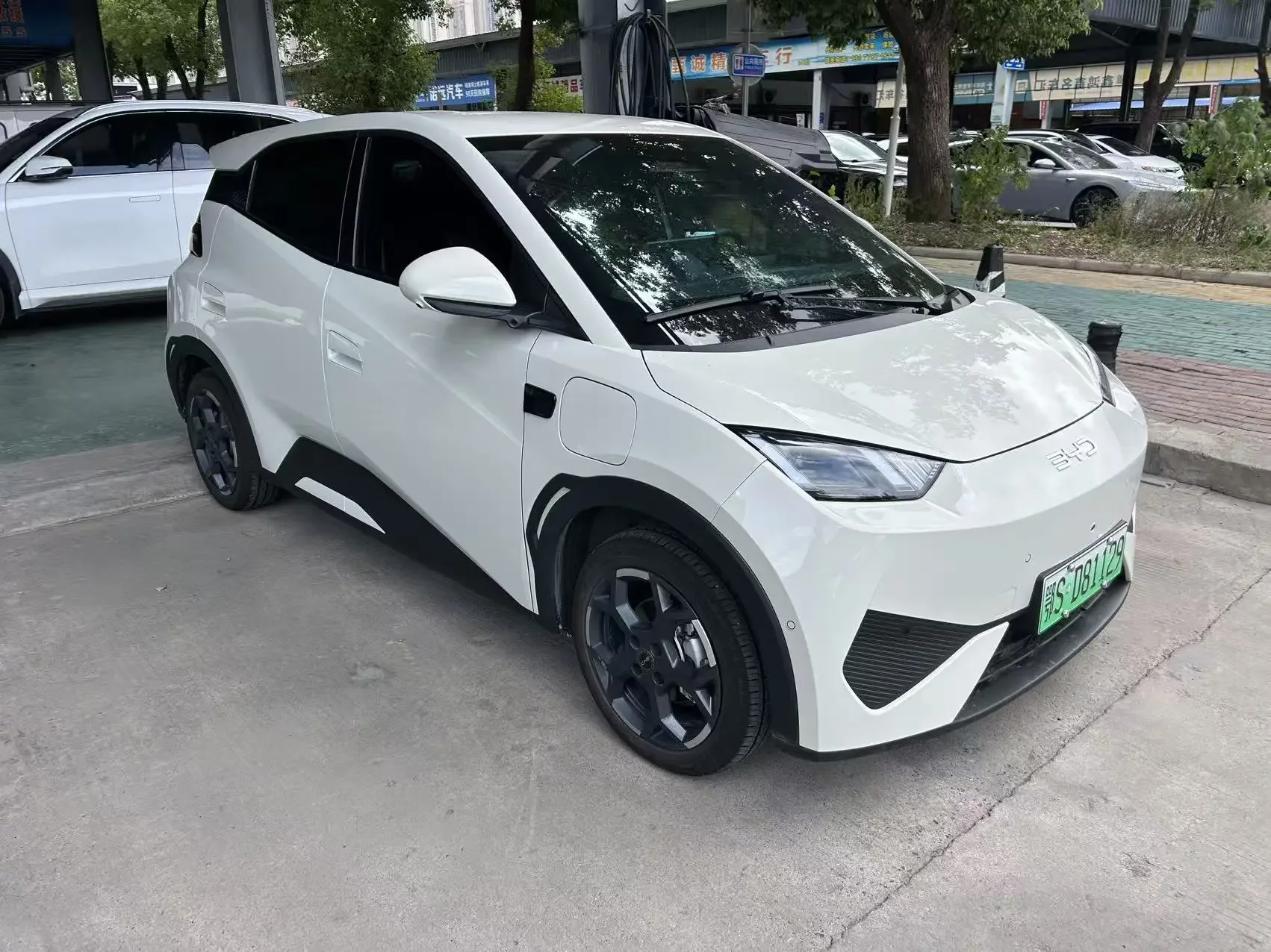 BYD seagull